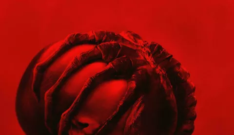 MAGAZINAlien: Romulus (2024) - Release info - IMDb