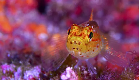 Lu&iacute;s Campos iz Portugala dobitnik&nbsp;je nagrade za najbolju fotografiju