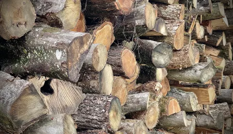 Osijek, 19. 09. 2022, Gunduliceva ulica, ogrijev, drva, grijanjeSNIMIO BRUNO JOBST