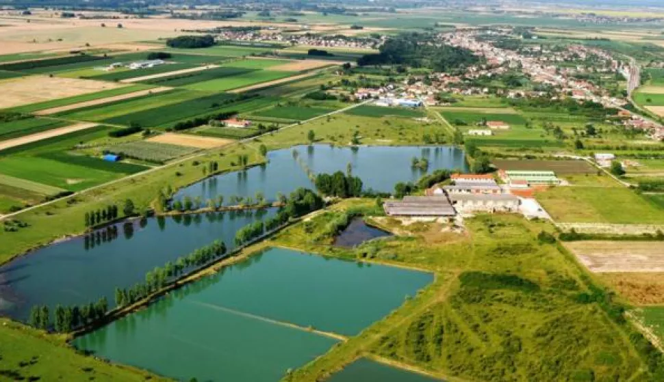Bizovački bajer