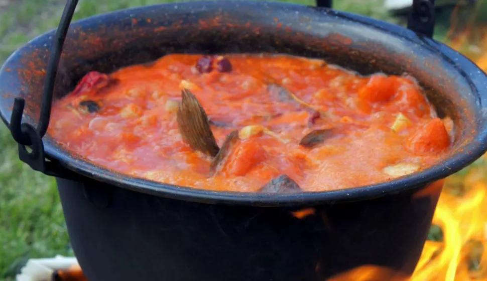 FIŠ, FIŠ-PAPRIKAŠ, KOTLIĆ