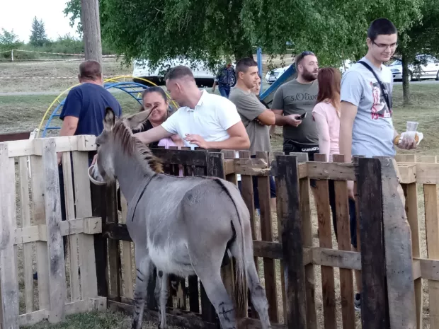 Dalmatinska večer uz dobre vibracije