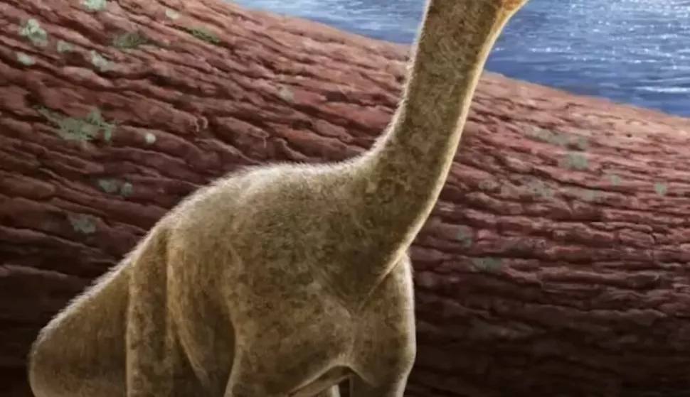 dinosaur sauropodomorph