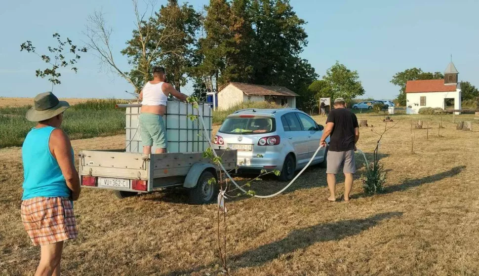 VinkovciBorinci	Udruga Naši Borinci začetnik svih promjena nabolje naselja Borinci2024.