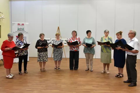 slavonija...vinkovci...25.08.2024.dvorana barun trenk; 9. susreti vinkovackih madjara;foto Gordan Panić