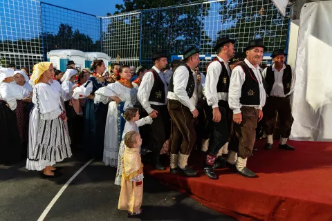 Kulturna manifestacija "Slavonijo, u jeseni si zlatna" u Tenji