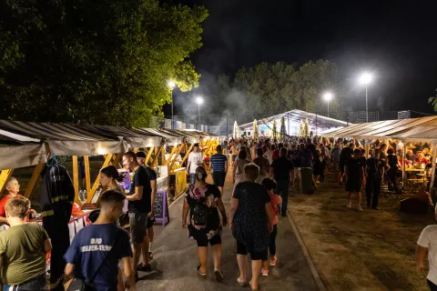 Kulturna manifestacija "Slavonijo, u jeseni si zlatna" u Tenji