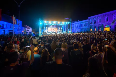 Zlatne žice 2024