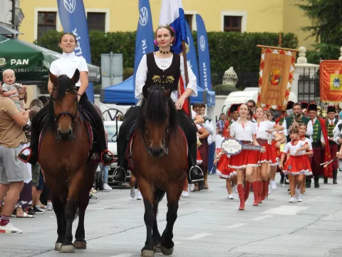 Zlatne žice Slavonije 2024