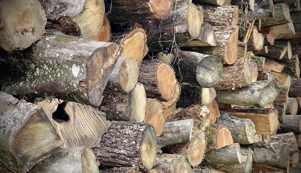 Osijek, 19. 09. 2022, Gunduliceva ulica, ogrijev, drva, grijanjeSNIMIO BRUNO JOBST