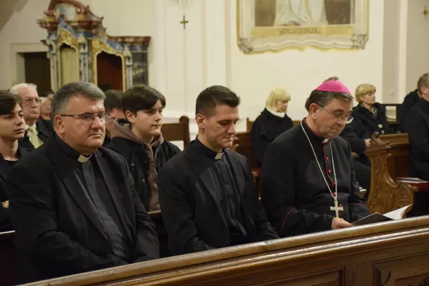 orgulja&scaron;ke večeri u pože&scaron;koj katedrali