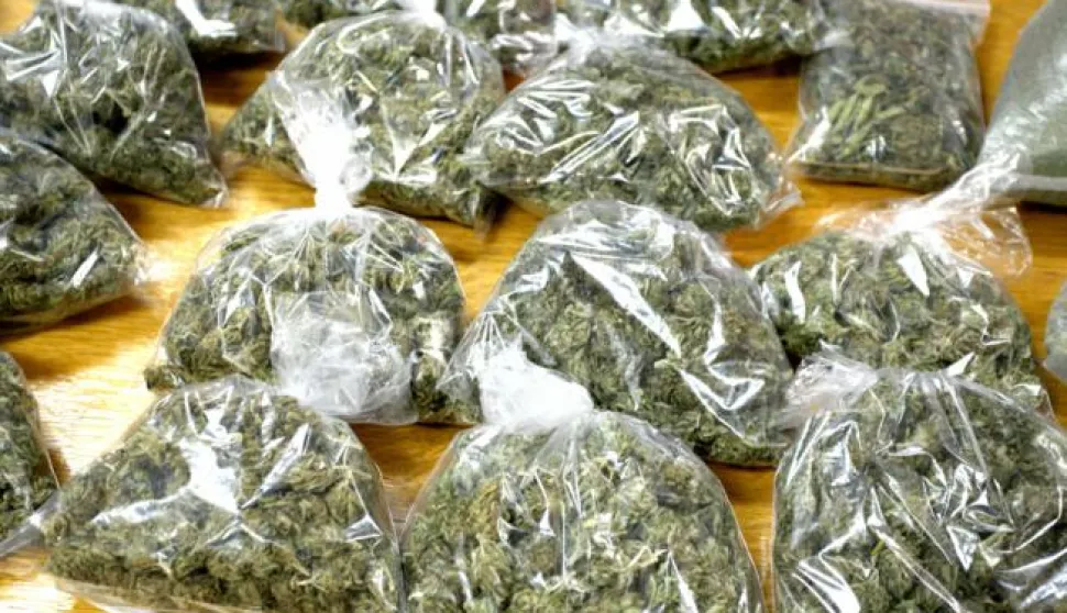 snimio Davor KIBEL,Osijek, 08.12.2014. Policijska postaja, zaplijenjena droge u PU osječko-baranjskoj, droga, trava, kanabis, marihuana, hai