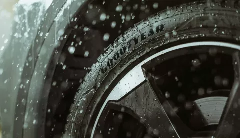 Goodyear cjelogodi&scaron;nja guma