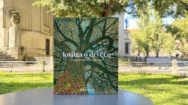 &Scaron;kolska knjiga Knjiga o drveću