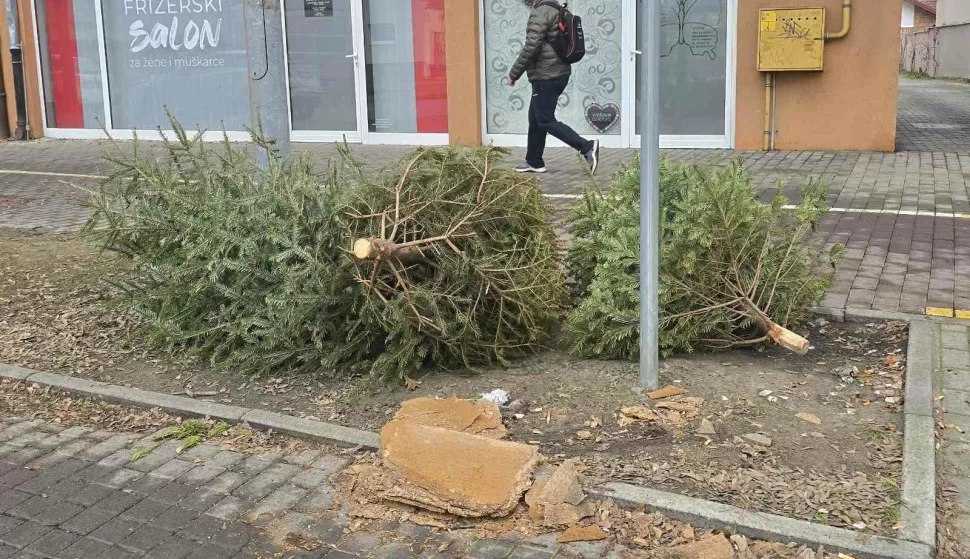 Odbačena božićna drvca ispred Divaltove 80Snimio čitateljOsijek, 20. siječnja 2025.