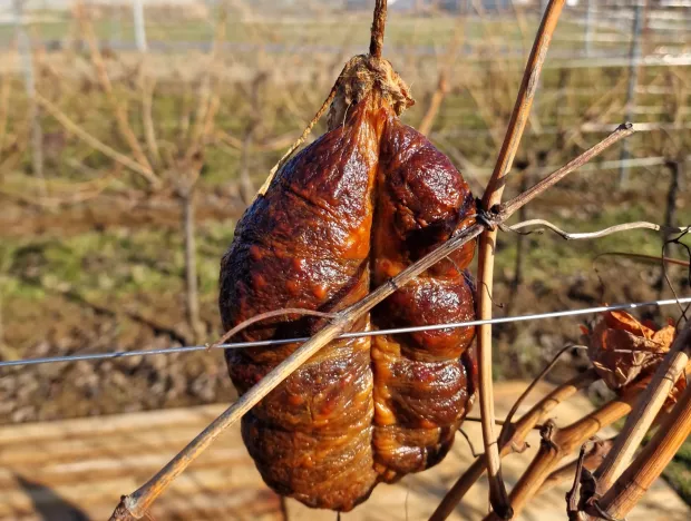 vinograd, Vince&scaron;ka