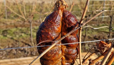 vinograd, Vinceška