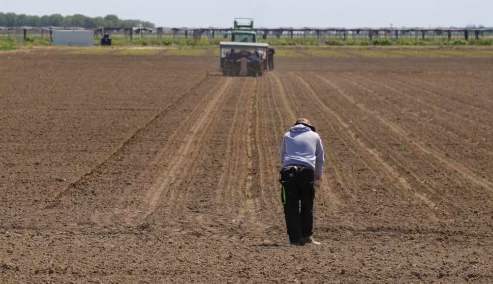 Osijek, 29. 04. 2024., kod HEP-a, blizu obilaznice, ispitivanje kvalitete tla, tlo, kvaliteta tla, sondiranje, slobodnjak, slobodnjaciSNIMIO BRUNO JOBST