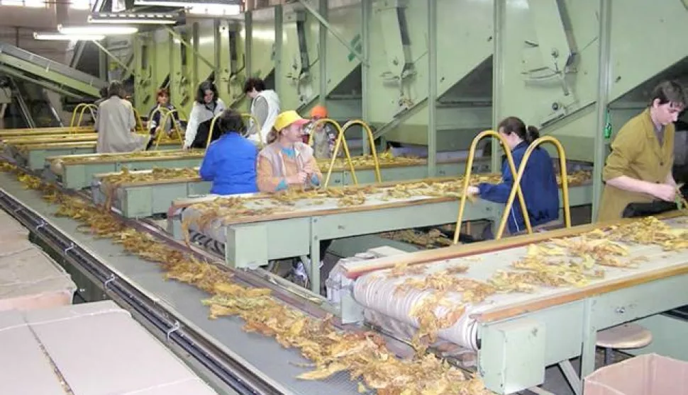 ?Predlau model opstanka proizvodnje duhana u Hrvatskoj Udruga proizvođača Krupan list preuzela bi slatinski Agroduhantravanj 2016Autor: agroduhan.hr------2 st color ekonomija