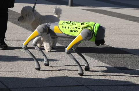 Osijek, 05. 02. 2025., Trg slobode, dog assistent, robot pas, pomoć slijepima, nepristupačan teren, loši vremenski uvijeti, razne mogućnostiSNIMIO BRUNO JOBST
