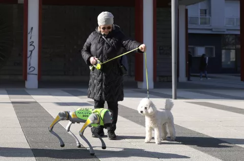 Osijek, 05. 02. 2025., Trg slobode, dog assistent, robot pas, pomoć slijepima, nepristupačan teren, loši vremenski uvijeti, razne mogućnostiSNIMIO BRUNO JOBST
