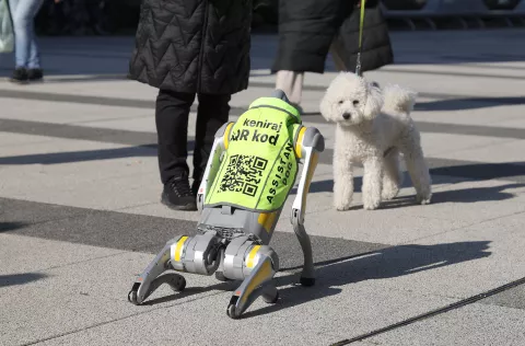 Osijek, 05. 02. 2025., Trg slobode, dog assistent, robot pas, pomoć slijepima, nepristupačan teren, loši vremenski uvijeti, razne mogućnostiSNIMIO BRUNO JOBST