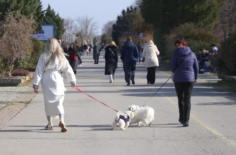 Osijek, 06. 02. 2025., promenada, šetnica, šetnja pasa, slobodnjak, slobodnjaciSNIMIO BRUNO JOBST