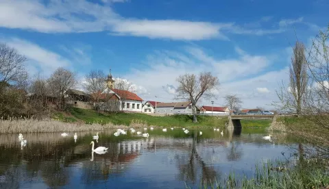U Šiškovcimaarhiva
