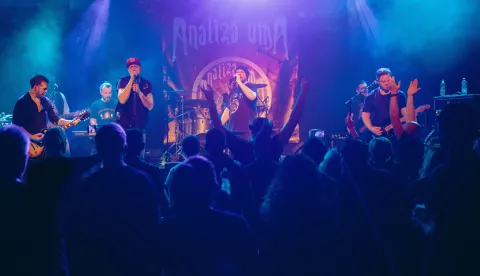 Zoran Mišić i Analiza uma