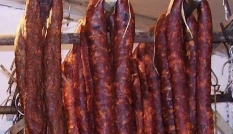 Pušnica ilustracija