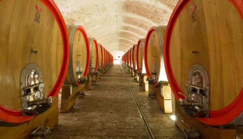 Vinski podrum Vina Belje