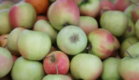 Osijek, 09. 08. 2024., Tržnica; ponuda; voće; povrćeSNIMIO BRUNO JOBST 