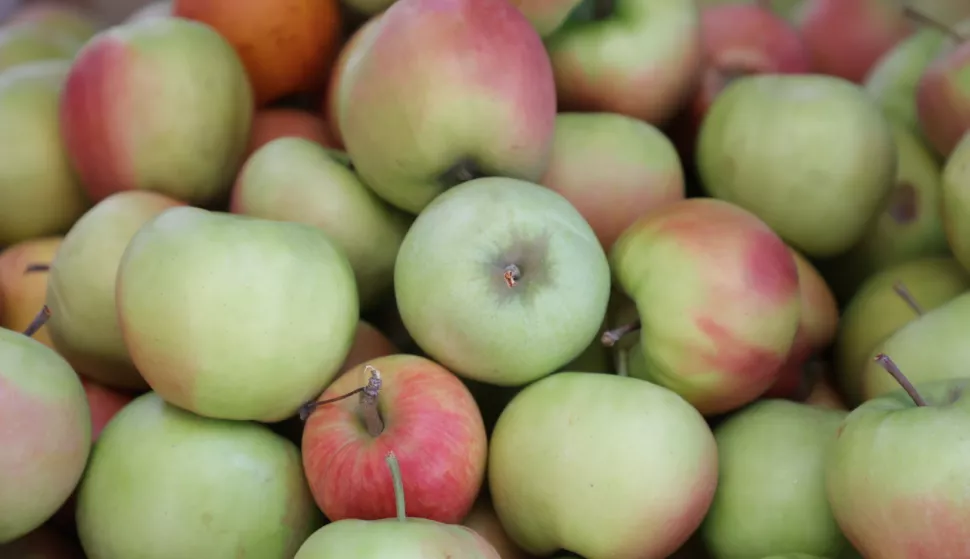 Osijek, 09. 08. 2024., Tržnica; ponuda; voće; povrćeSNIMIO BRUNO JOBST 