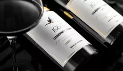 CABERNET FRANC JOSIĆ