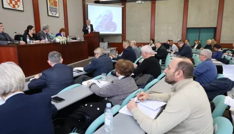 Vinkovci - Županijska skupštinaveljača 2025.