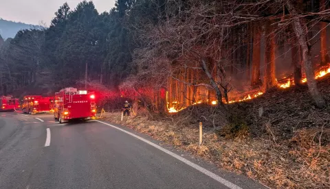 epa11937246 A handout photo made available on 03 March 2025 by the Fire and Disaster Management Agency shows firefighters battling a wildfire in Ofunato, Iwate prefecture, northeastern Japan, 02 March 2025 (issued 03 March 2025). The forest fire that began on 26 February in the coastal city of Ofunato, northeastern Japan, continues to spread bringing the total area burned to at least 2,100 hectares, according to the Iwate Prefectural Government. EPA/FIRE AND DISASTER MANAGEMENT AGENCY HANDOUT HANDOUT EDITORIAL USE ONLY/NO SALES