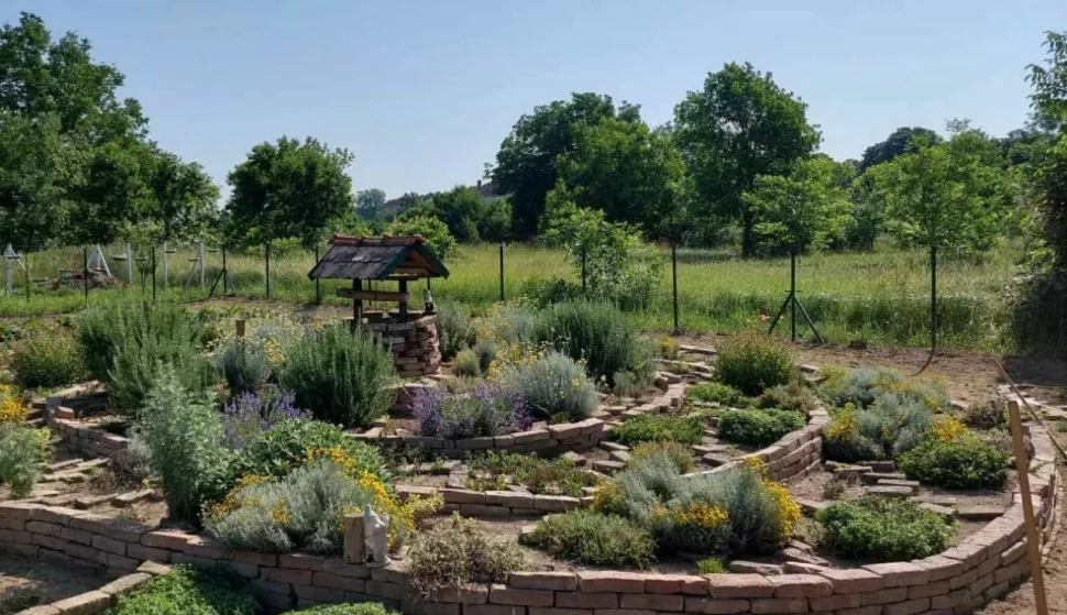 Eko vrt Udruge žena Vukovar