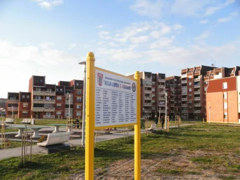 U aleji Lionsa u Vukovaru 2015. godine posađeno je 258 sadnica lipe