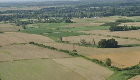 polje njiva oranica