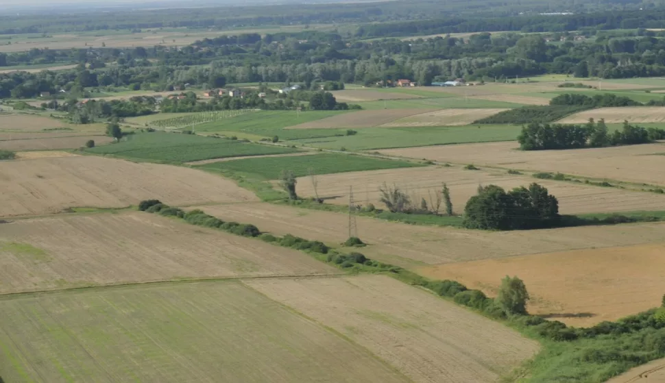 polje njiva oranica