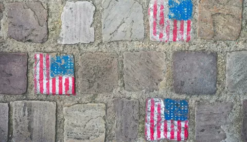 MAGAZIN PEXELSPHOTO BY Sonny Vermeer