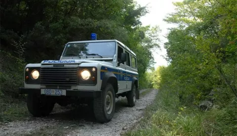 Nadzor zelene granice