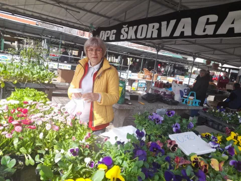 ĐAKOVO - TRŽNICA, Blaženka Škorvaga12. OŽUJKA 2025.