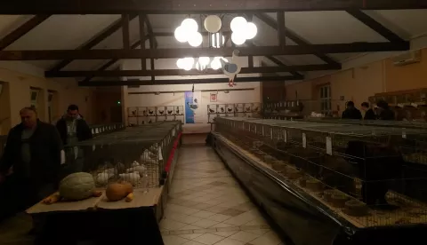 FLORENTINAC IZLOŽBA