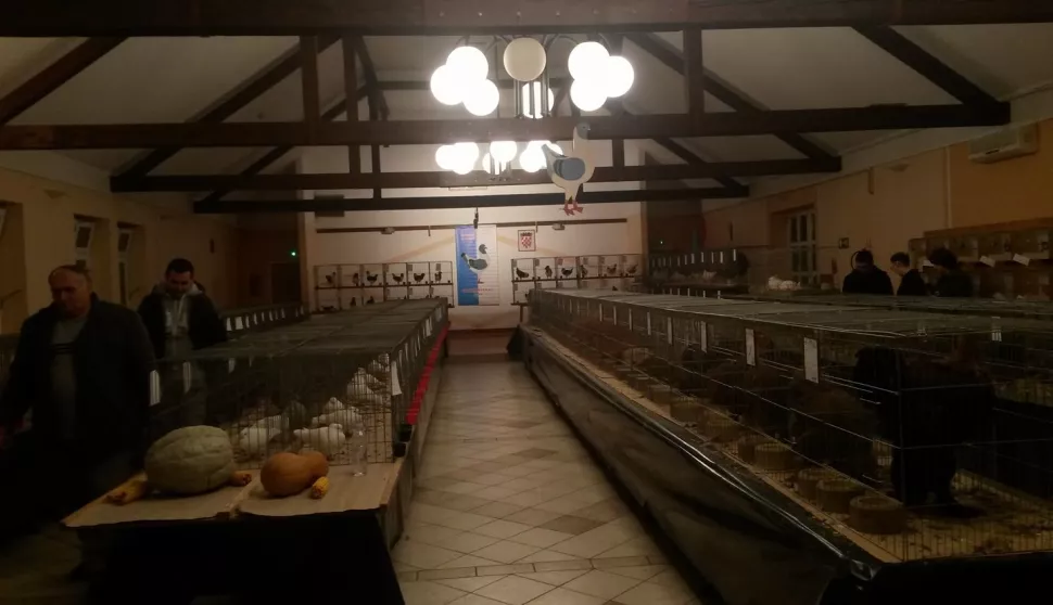 FLORENTINAC IZLOŽBA