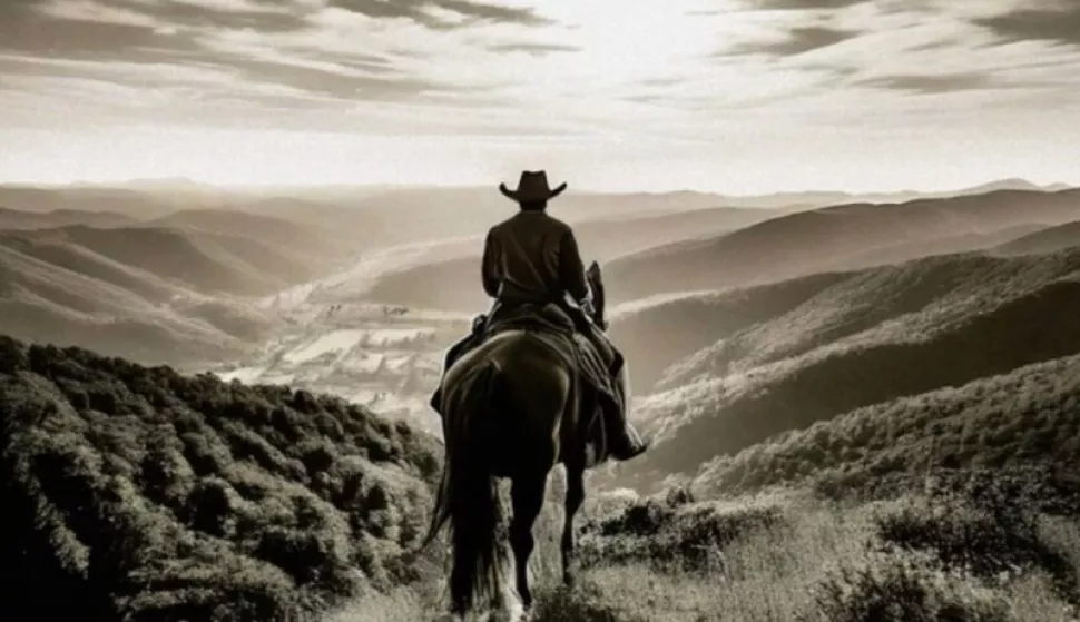 Willie Nelson