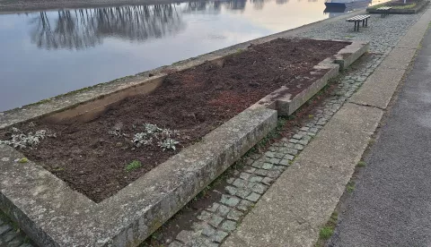 Žardinjere na promenadi Osijek, ožujak 2025.Snimio: Ivan Alilović