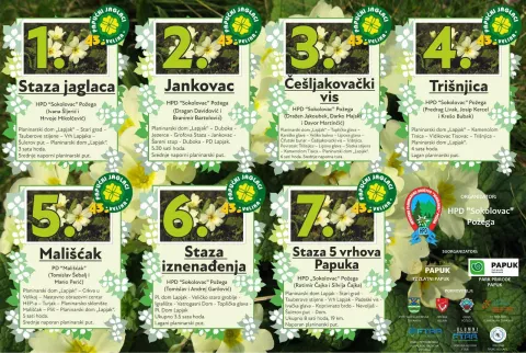 Papučki jaglaci, HPD Sokolovac Požega, Bruno Horvat, 2025.