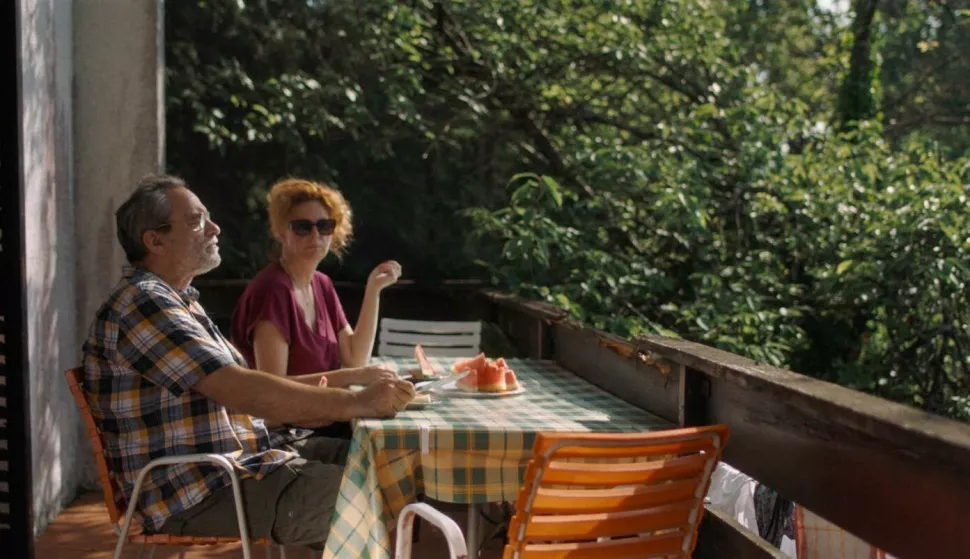 U filmu glavne uloge tumače Filip Šovagović i Nina Violić