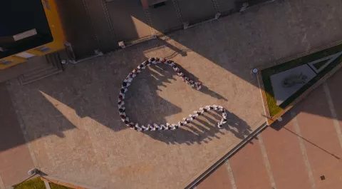 Oči sokolove: Let nad Slavonijom